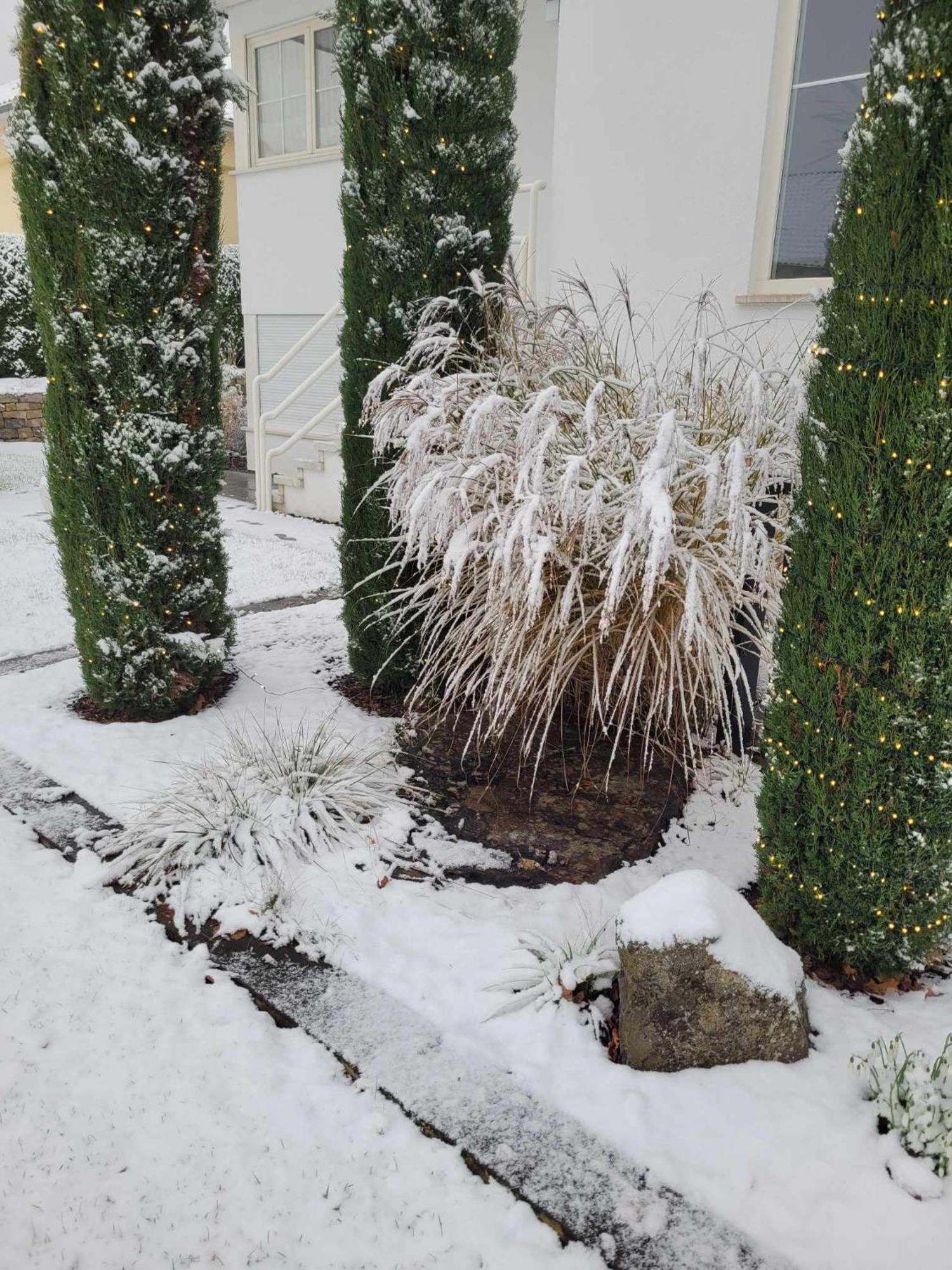 Tauberperle - Exklusives Ferienapartment Lauda-Königshofen Buitenkant foto